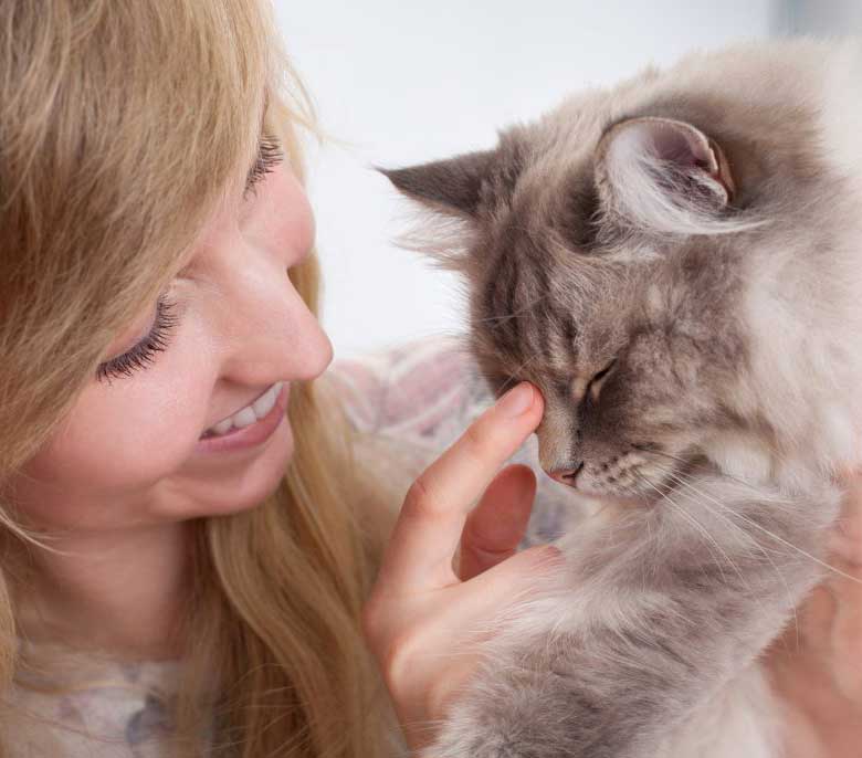 Garde d'animaux à domicile sur Rennes et Saint-Grégoire