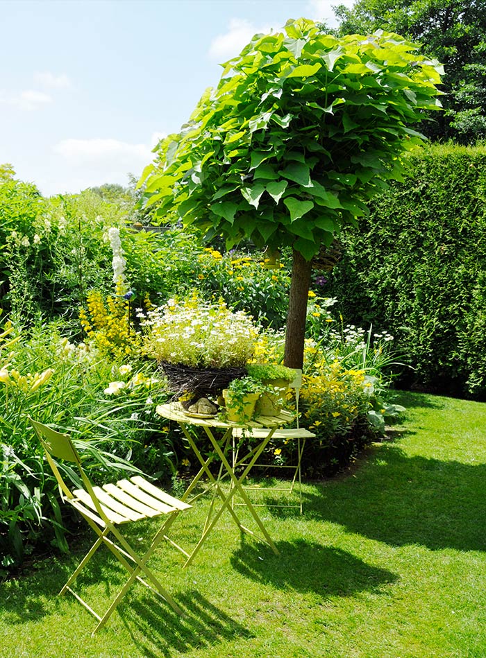 Jardinage à domicile sur Rennes et Saint-Grégoire