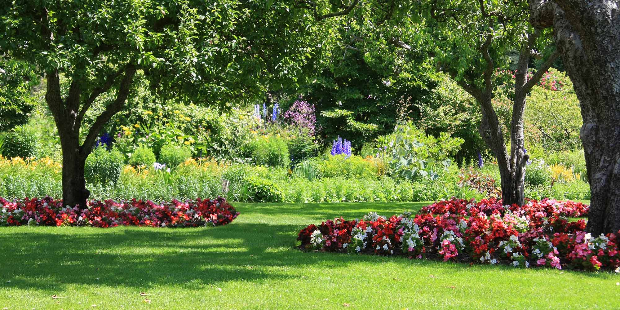 Jardinage à domicile sur Rennes, Saint-Grégoire et le département d'Ille et Vilaine